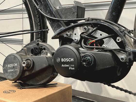 bosch_0932.jpg